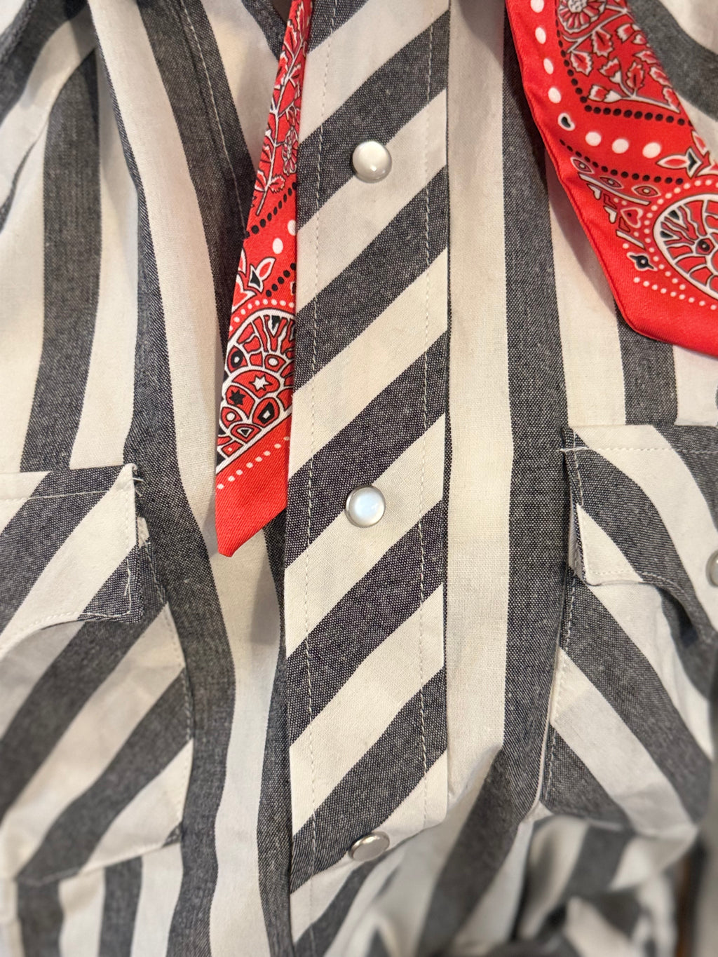 Black Striped Western Shirt