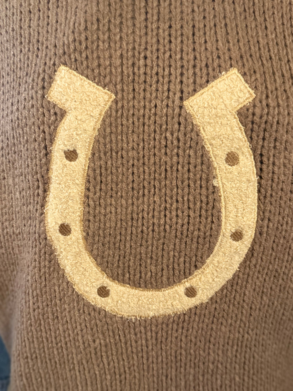 Western Horseshoe Knit Sweater Vest