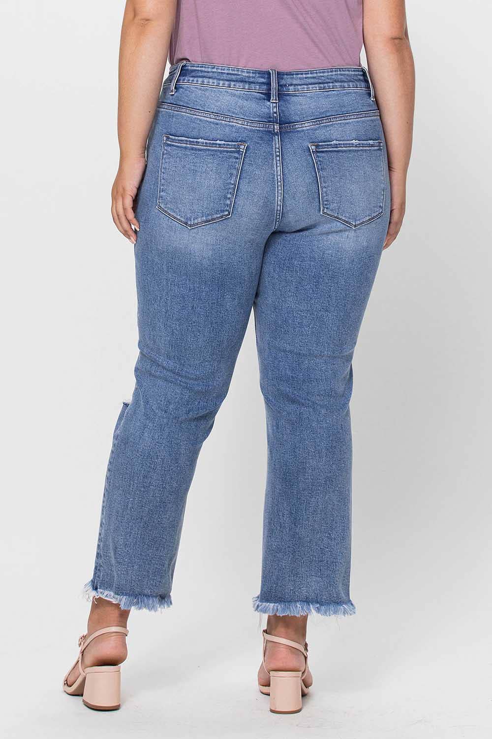Jeanne Plus Size High Rise Crop Slim Straight Jeans