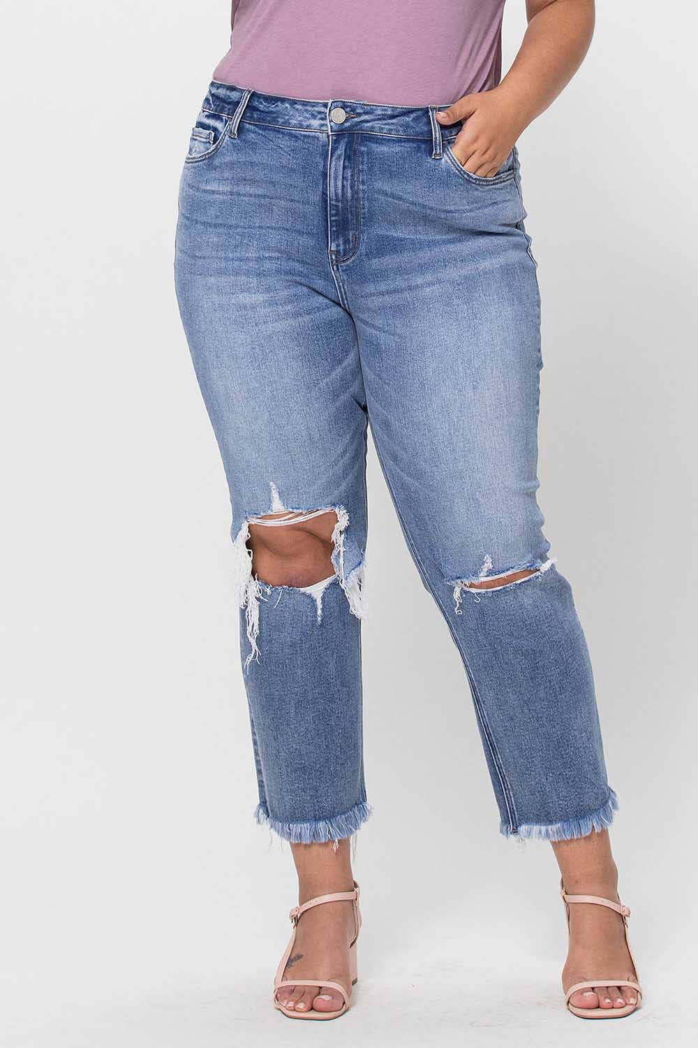 Jeanne Plus Size High Rise Crop Slim Straight Jeans