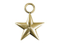 Western 4" Star Pendant
